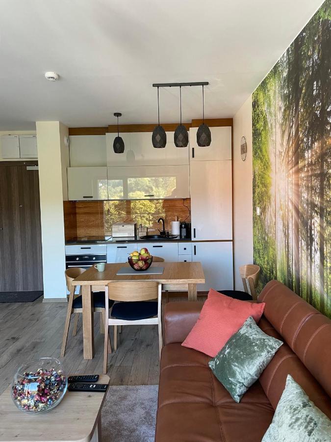 Apartament Delux 2 Szklarska Poręba Buitenkant foto