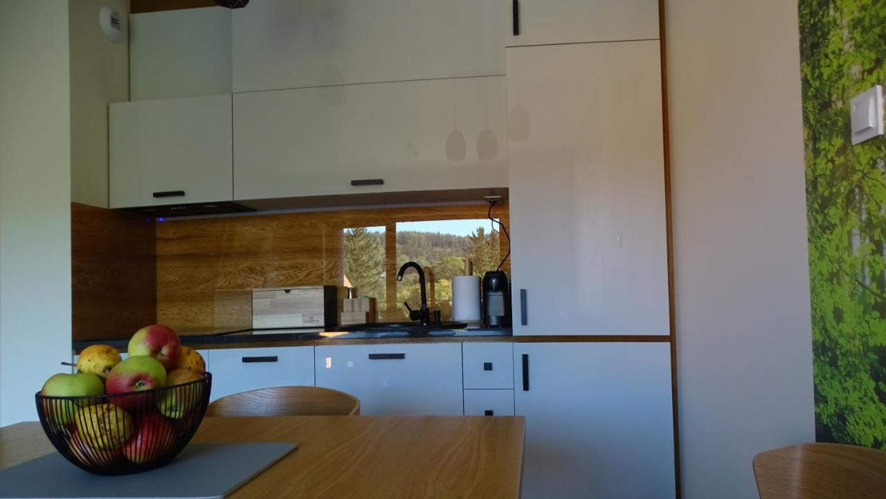 Apartament Delux 2 Szklarska Poręba Buitenkant foto