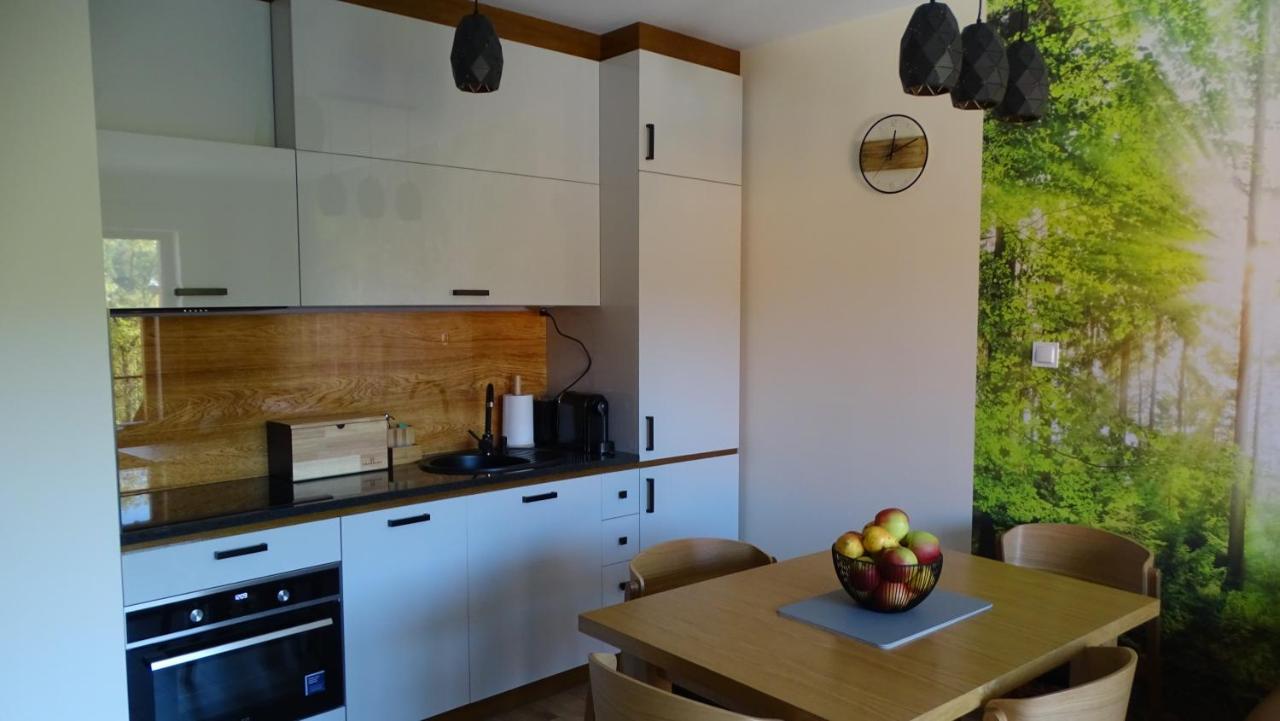 Apartament Delux 2 Szklarska Poręba Buitenkant foto