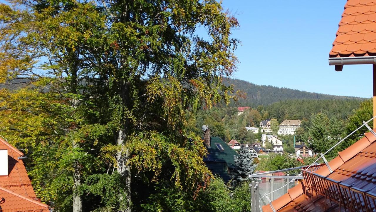 Apartament Delux 2 Szklarska Poręba Buitenkant foto